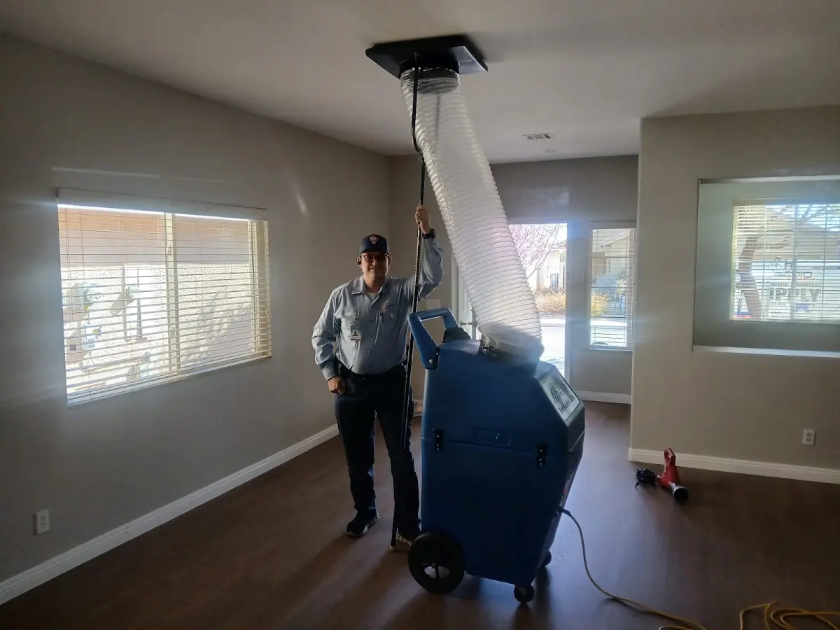 Professional Dryer Vent Cleaning work inside a Shady Hollow home
